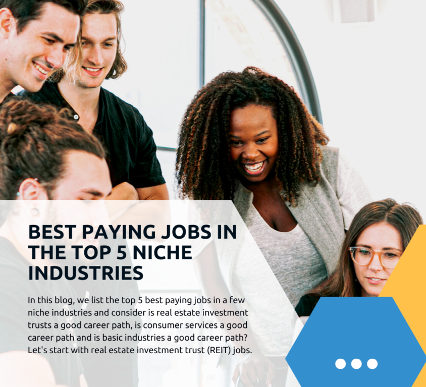 best paying jobs in niche industries